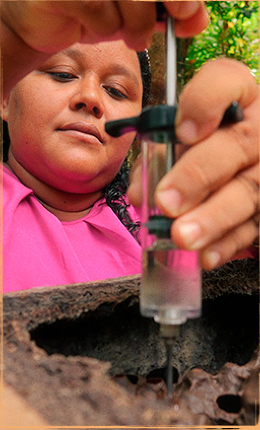 Mulheres <br />
Amigas Das <br />
Abelhas