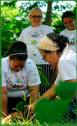 Introdução de <br />
práticas de <br />
agrofloresta