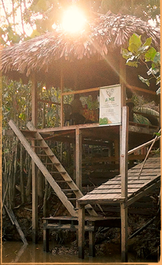 Turismo de base <br />
comunitária na <br />
APA da Ilha do Combú